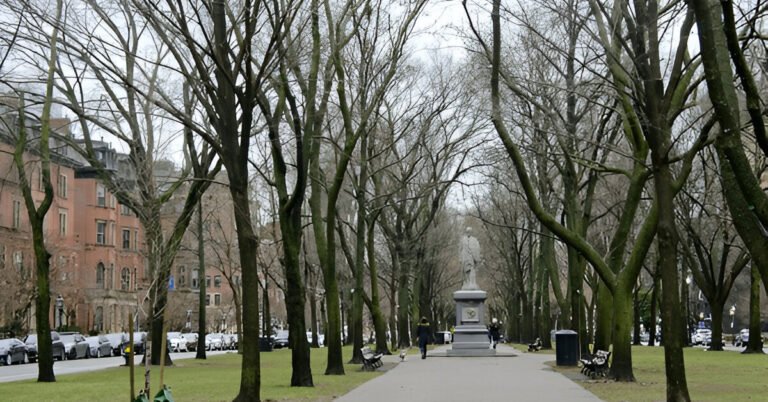 Emerald Necklace